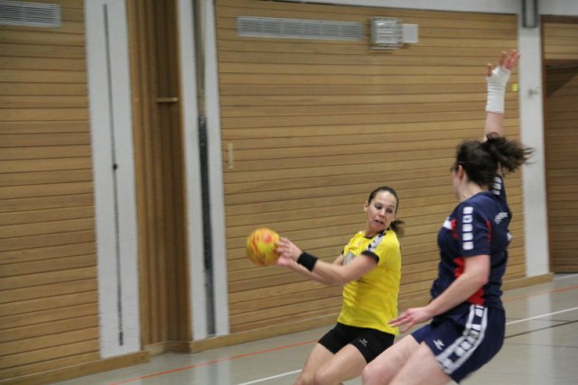 2016_01_23 Landesliga Frauen